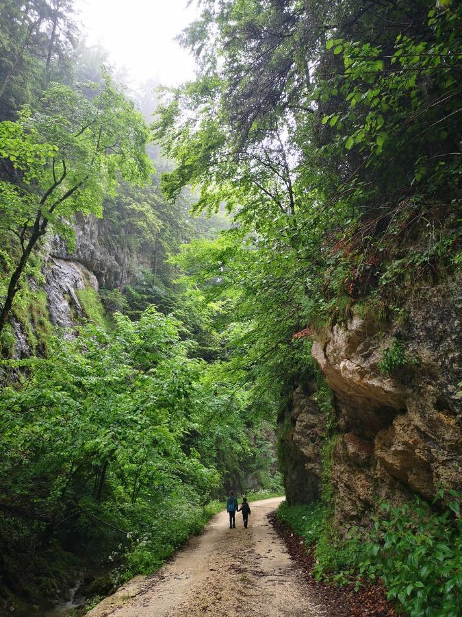Mountain Lodge Rîşnov Kültér fotó