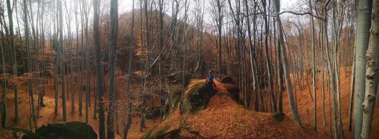Mountain Lodge Rîşnov Kültér fotó
