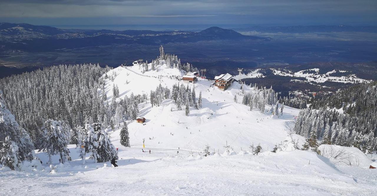 Mountain Lodge Rîşnov Kültér fotó