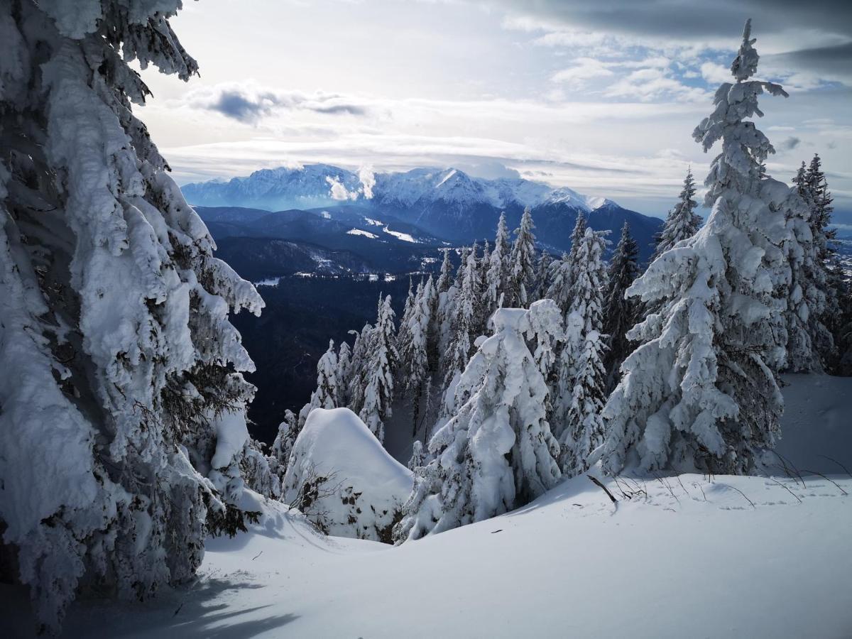 Mountain Lodge Rîşnov Kültér fotó