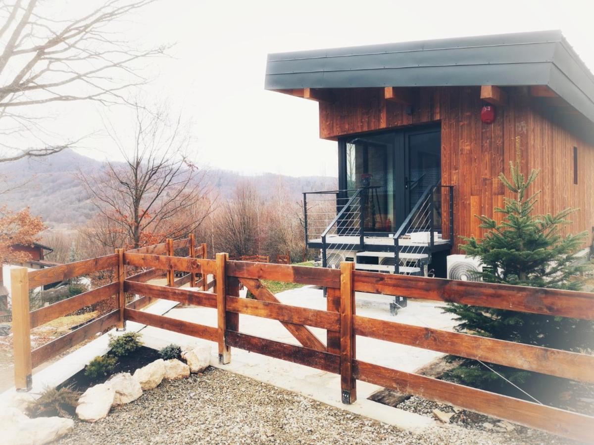 Mountain Lodge Rîşnov Kültér fotó