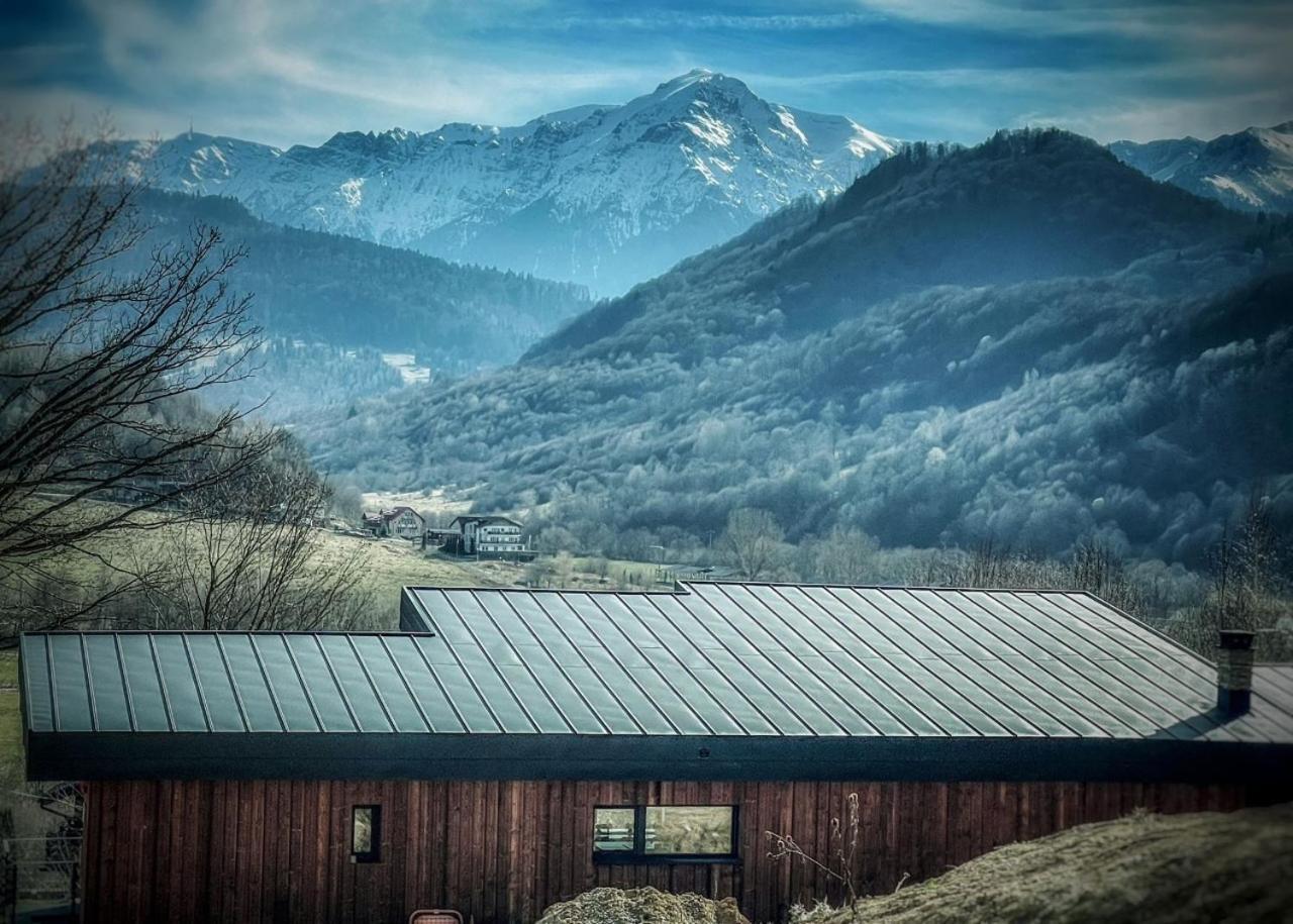 Mountain Lodge Rîşnov Kültér fotó